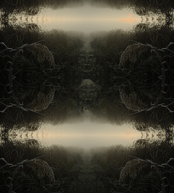 RE NORDICO � 2012 PI