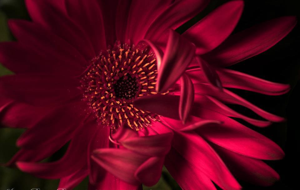 "Il passaggio della vita"