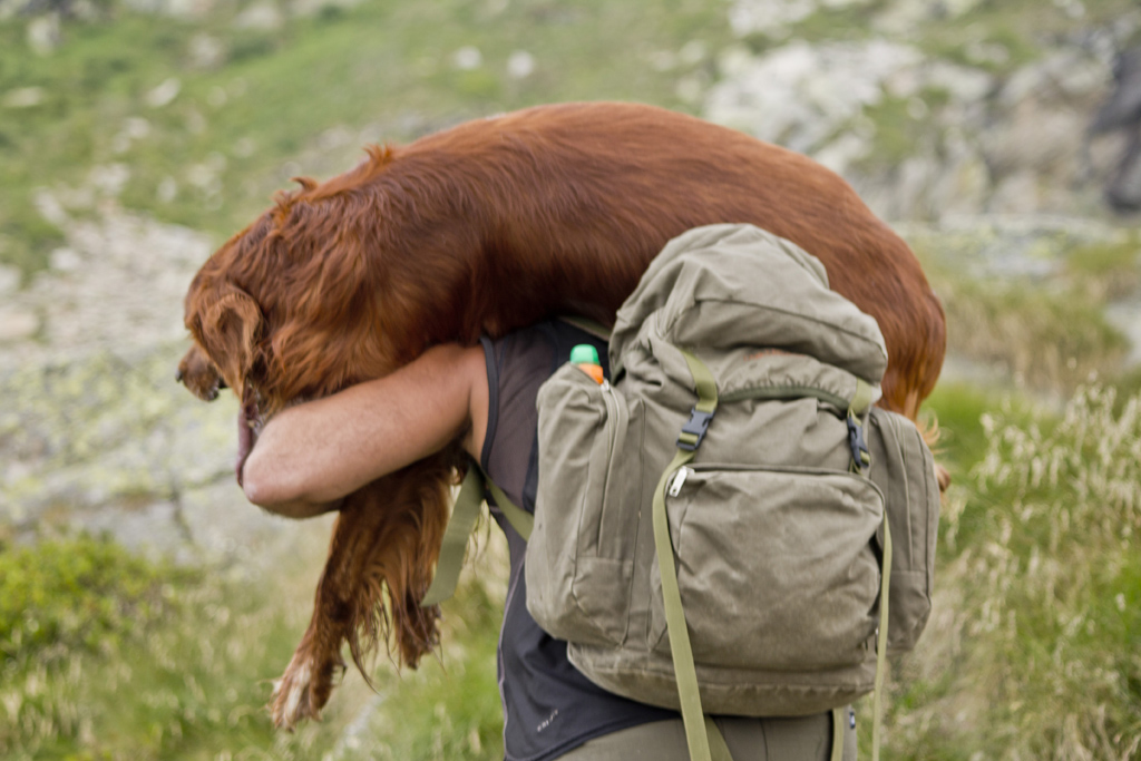 Trasporto eccezionale