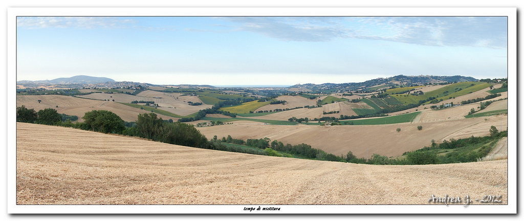 tempo di mietitura 2