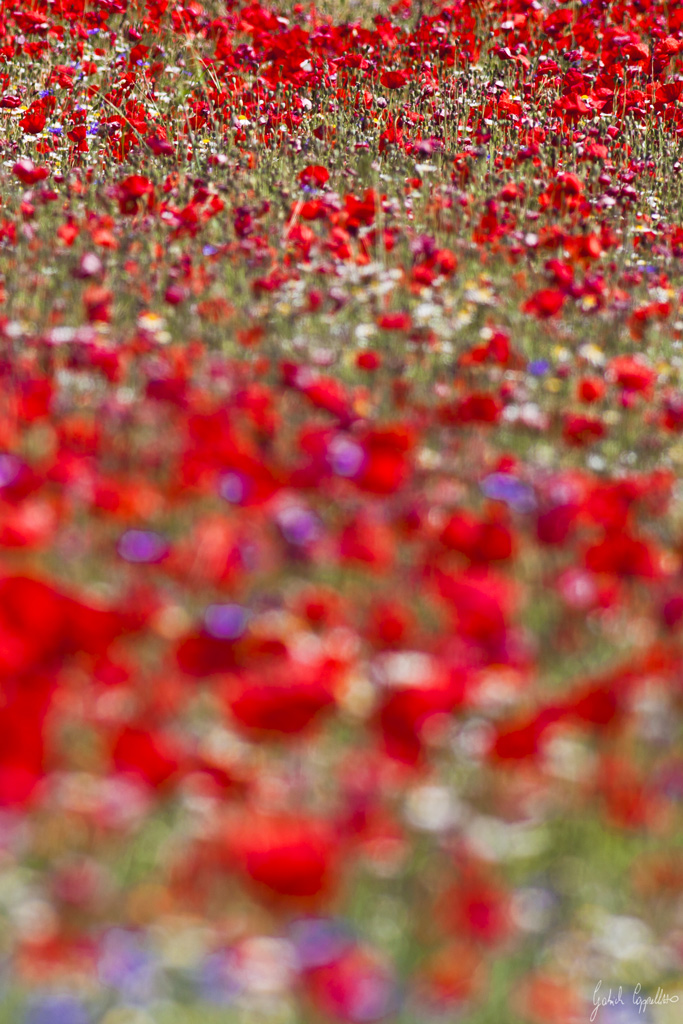 dall'impressionismo al realismo