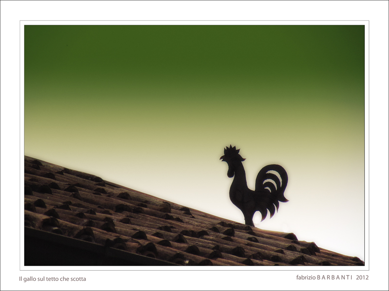 il gallo sul tetto che scotta