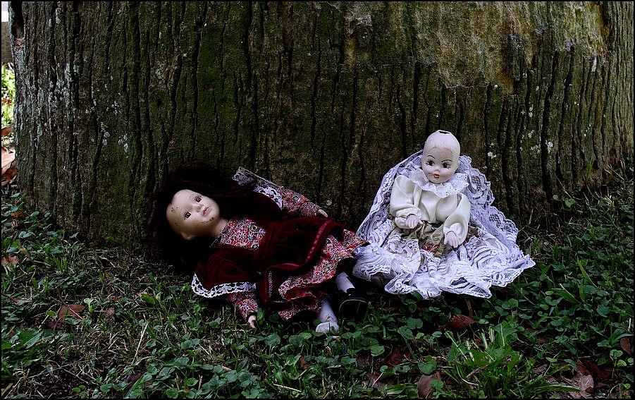 Nel bosco dei fratelli Grimm