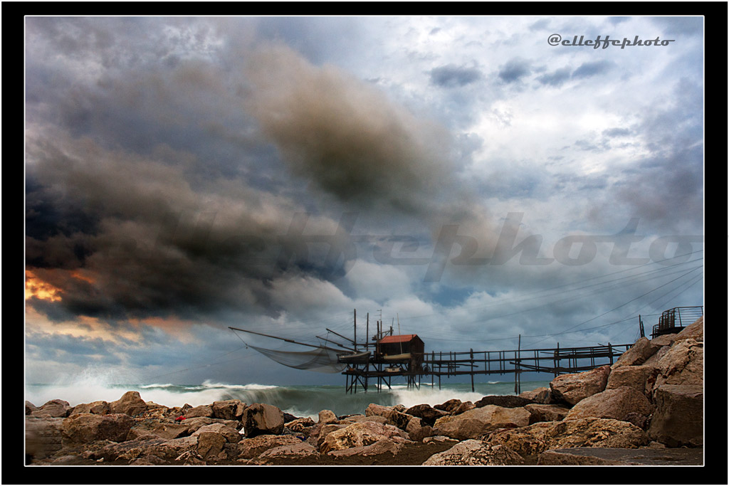 flurry in the sea ..