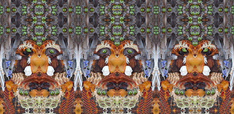 Le tre civette � 2012