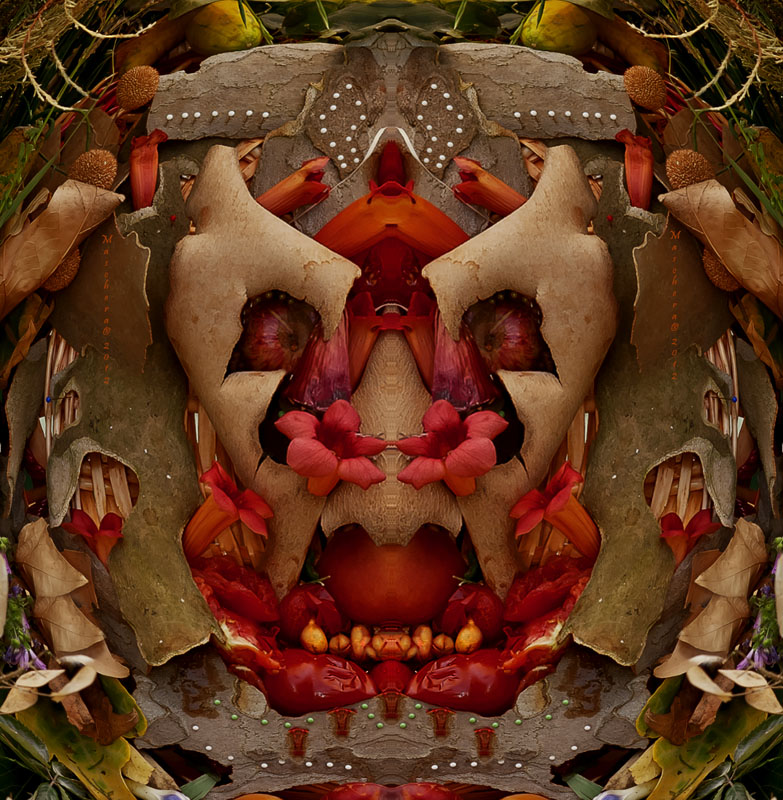 Maschera platano � 2012