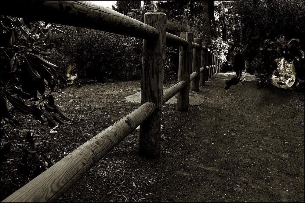 Quel sentiero nel parco...