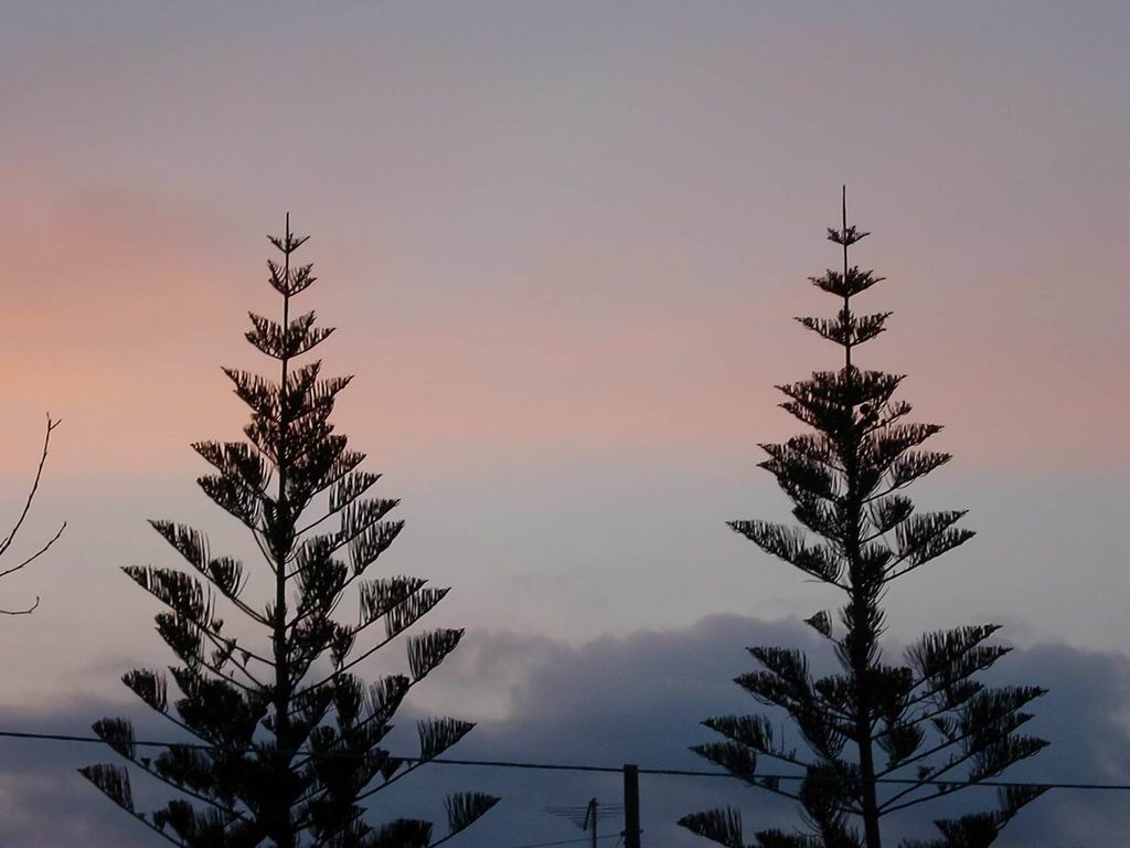 Nothing to Do with Me