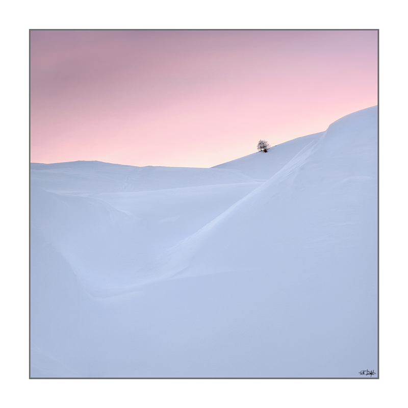 solitario
