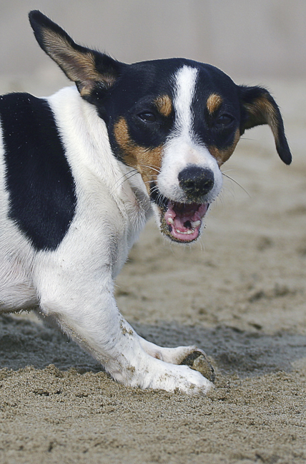 una simpatica amica 2