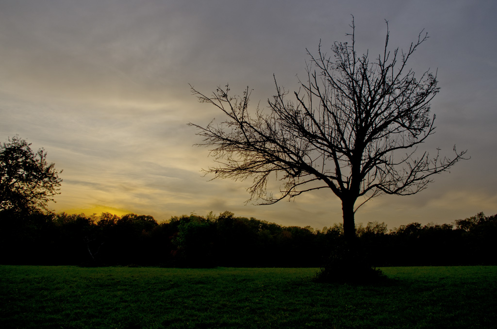 Parco della Brughiera in silhouette