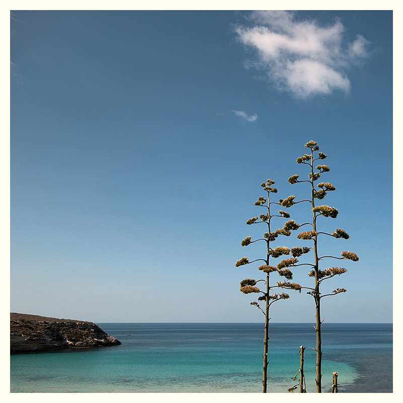 classic marina n�2