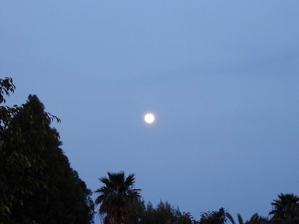 The Power of Blackness