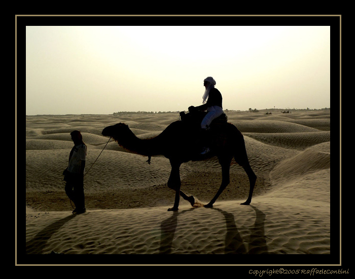 una passeggiata nel deserto