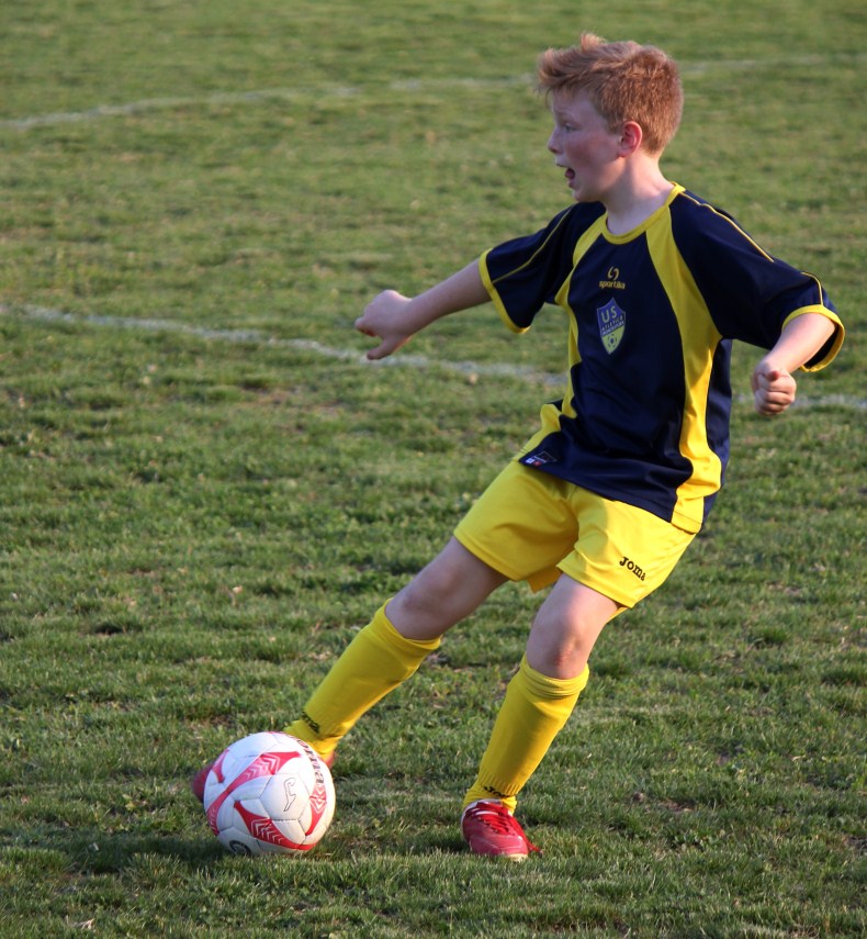 campione in erba sull'erba