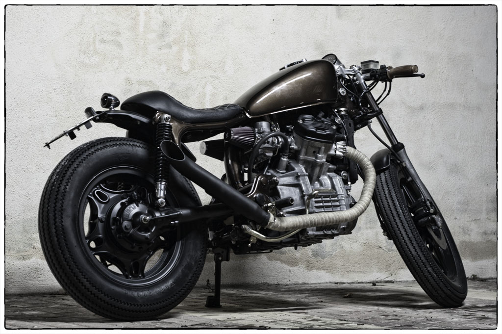 evoluzione della specie