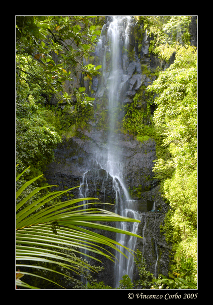 Sulla strada per Hana #2