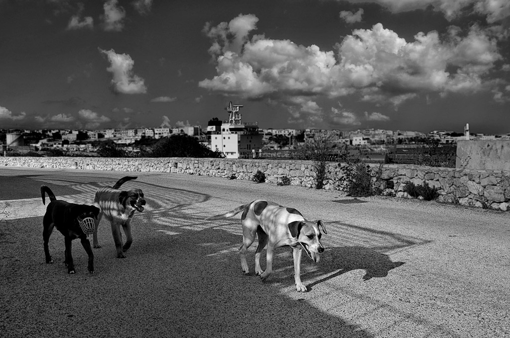 quel pomeriggio di un giorno da ....