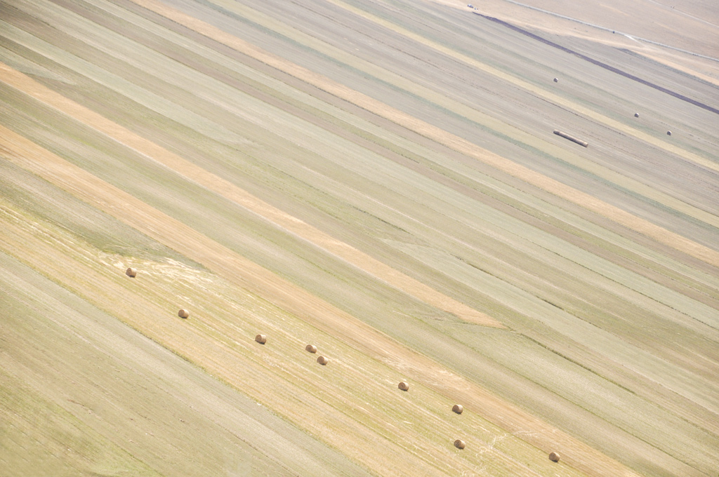 Castelluccio ad agosto