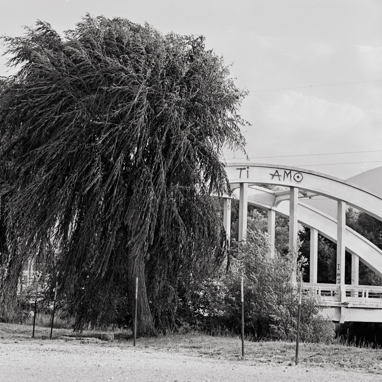 le vent nous portera