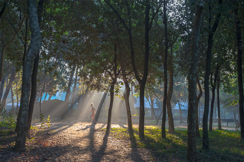 Mens sana in corpore sano.....