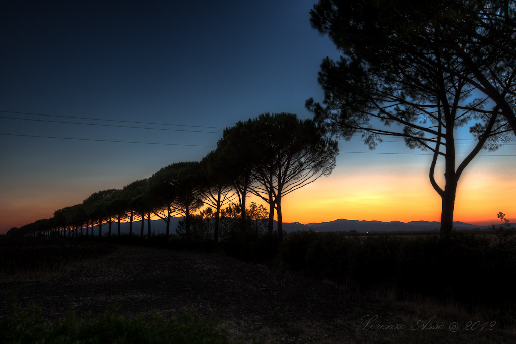 Il Tramonto della Pineta...