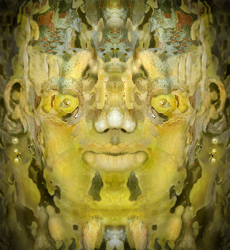 Giallo Platano � 2012