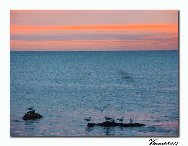 Svegli all'alba ..........