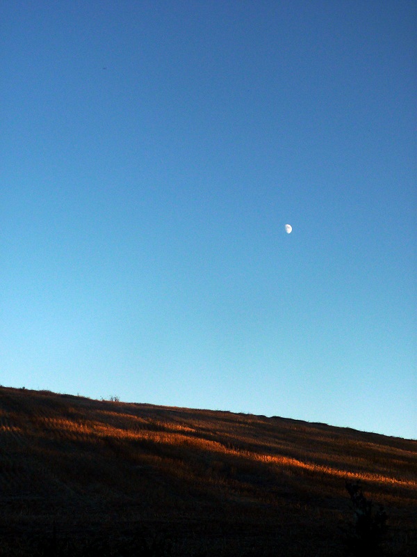 The light side of the Moon