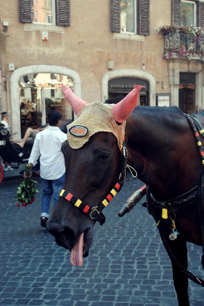 piazza di spagna.