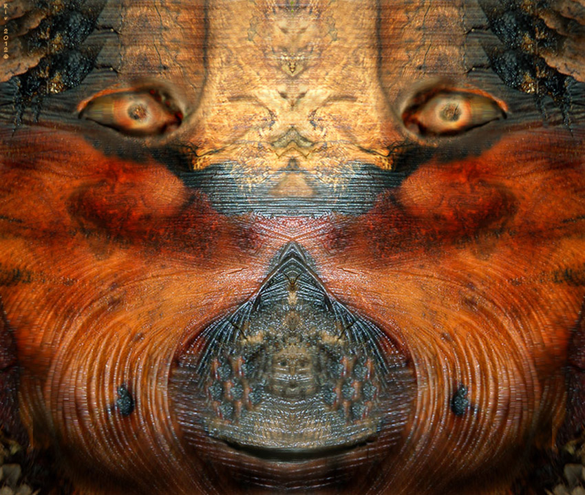 Amico legno � 2012 Riv.