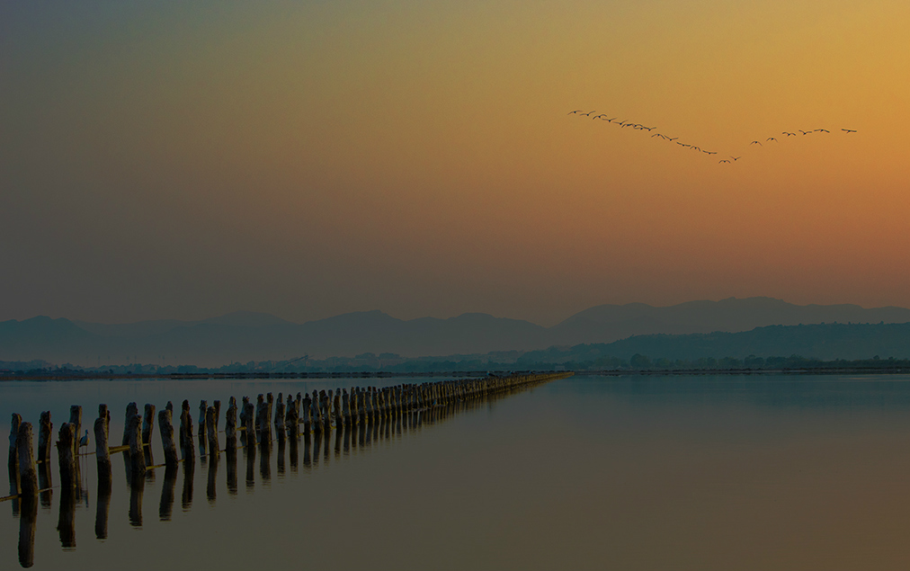 Saline di Cagliari