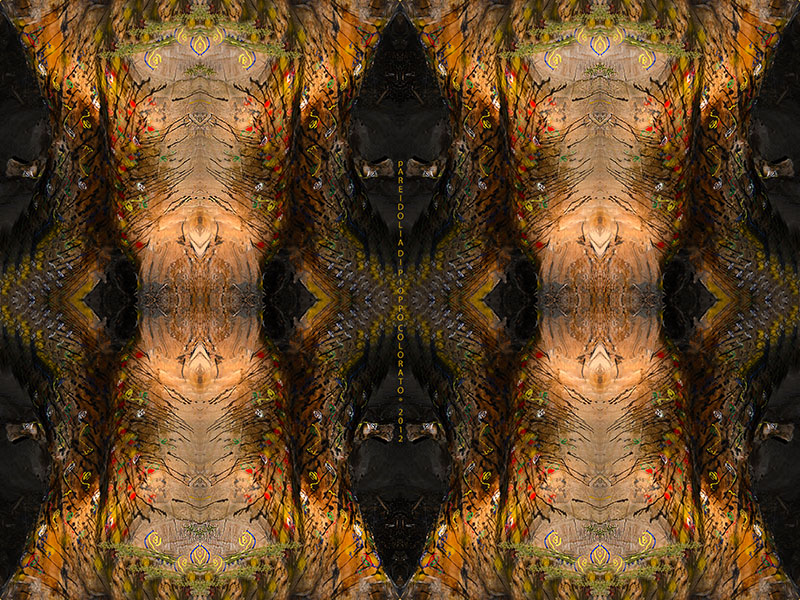 Pareidolia pioppo colorato � 2012