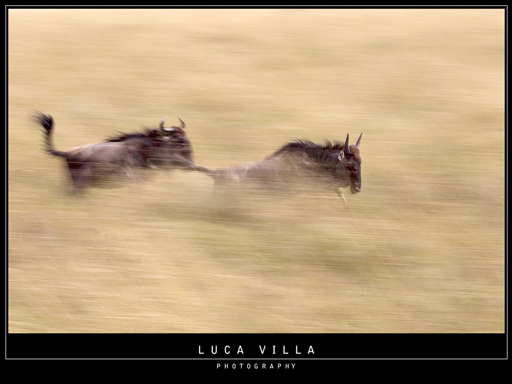 In corsa per la vita