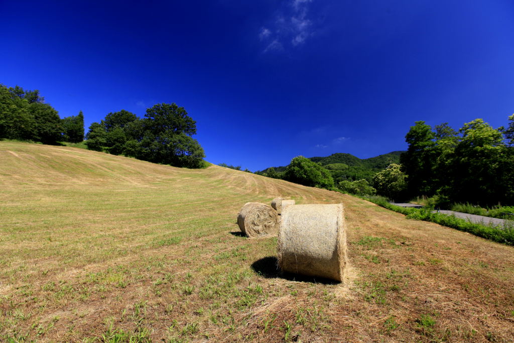 Toscana ,non solo Vald'orcia ......Mugello.