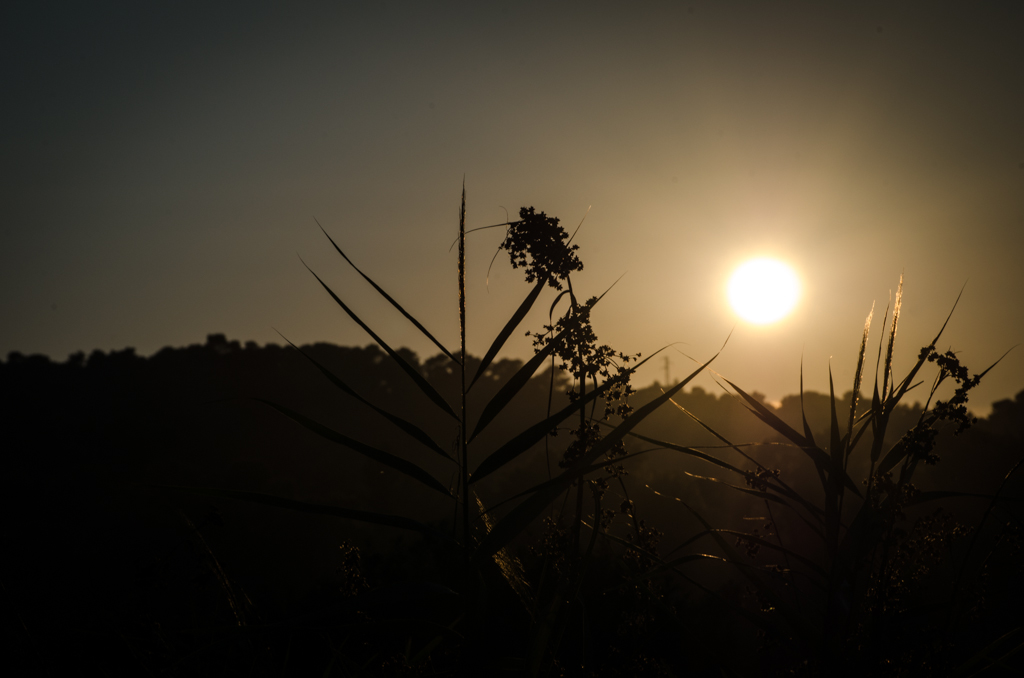 Controluce