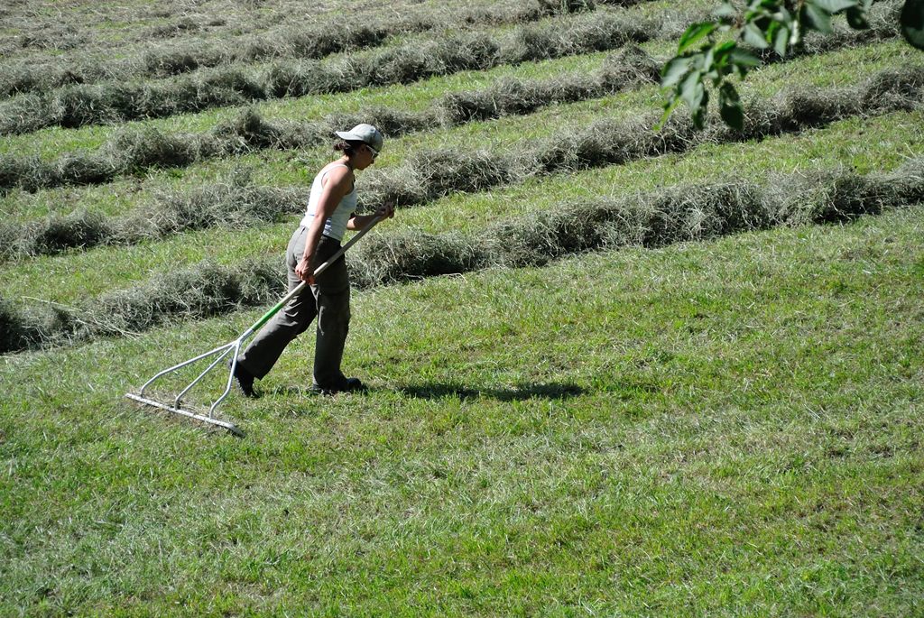 non tutte le ragazze fanno le veline