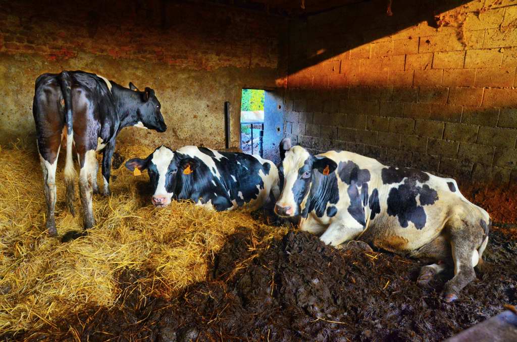 un momento di tranquillit�