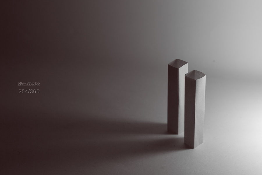 254-365 shot project