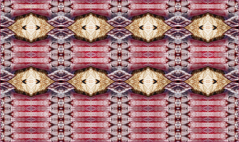 Rinvoltini di Sogliola � 2012