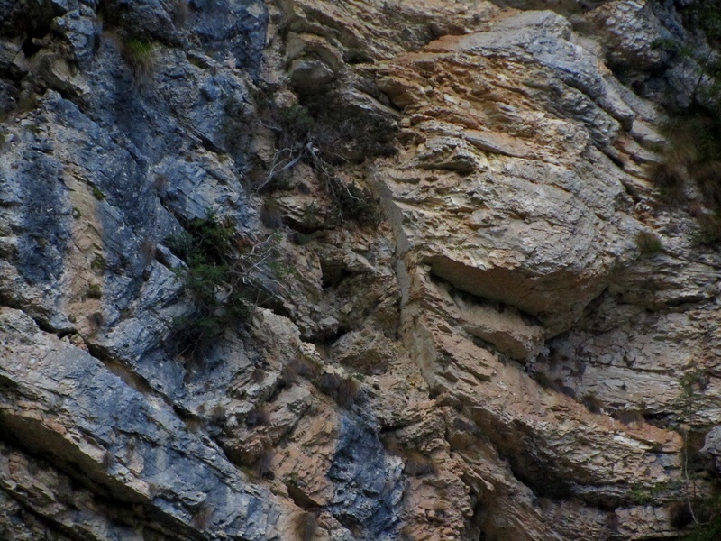 un volto nella roccia