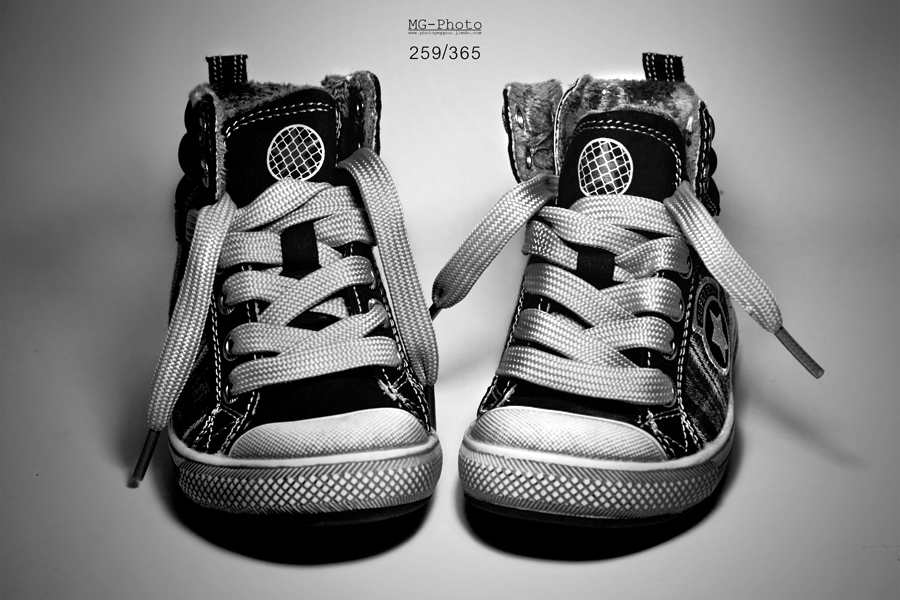 259-365 shot project