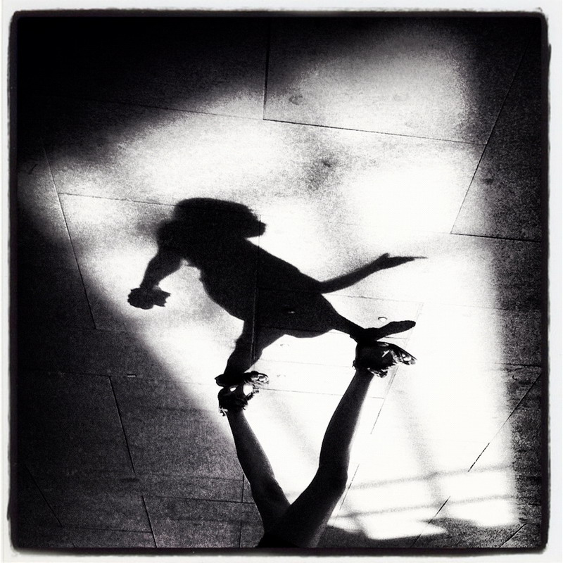 La compagna di una vita