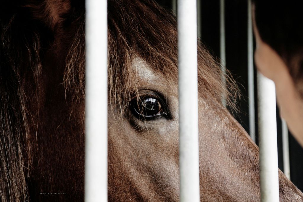 It's not so funny for me...#2