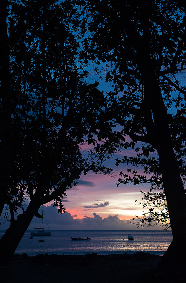 Ultimi frammenti di luce