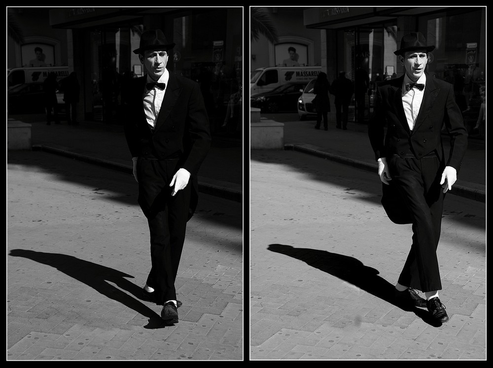 IL mimo e l'ombra (dittico)