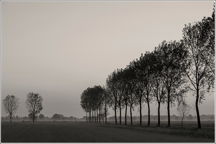 Appunti di una malinconia...