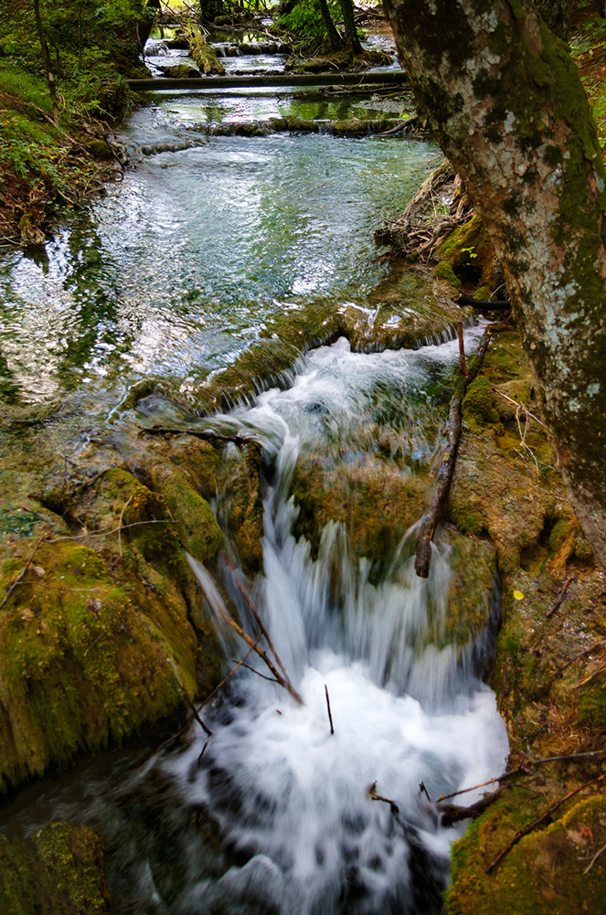 Al Parco Plje�ivica