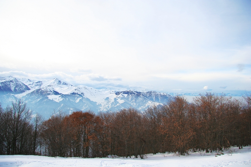 Paesaggio innevato 2