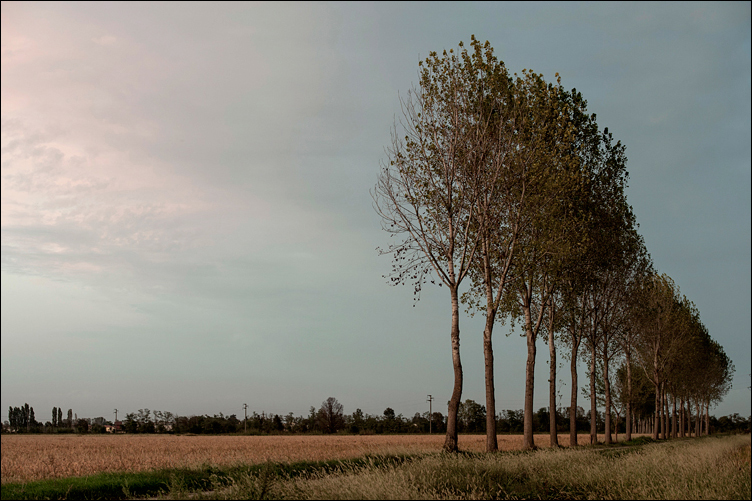 Un altro giorno che passa...